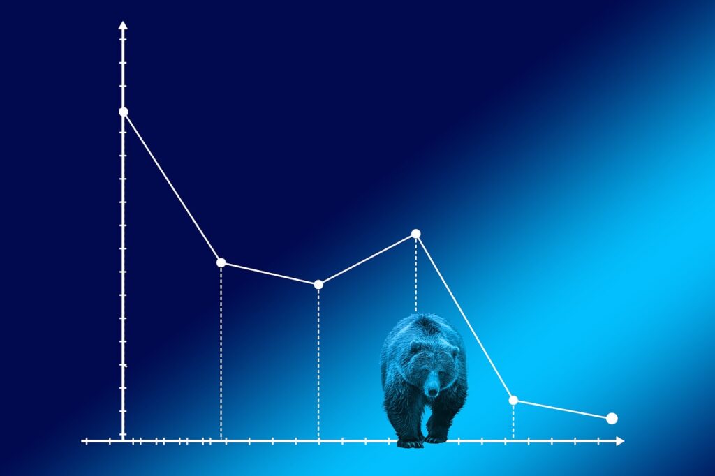 bear market, baisse, courses-4159033.jpg